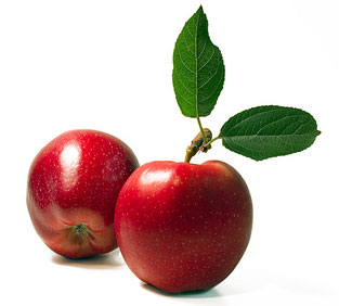 apples-leaf